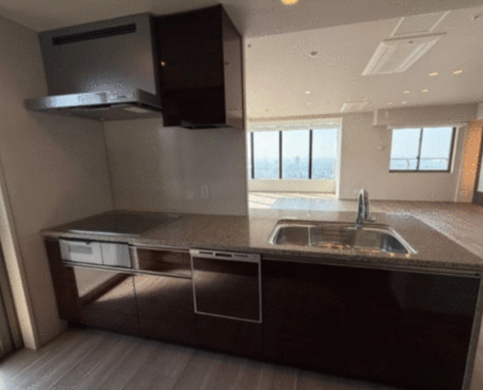 [50th Floor Condo / 2LDK] Nakanoshima, Kita Ward, Osaka City photo 6