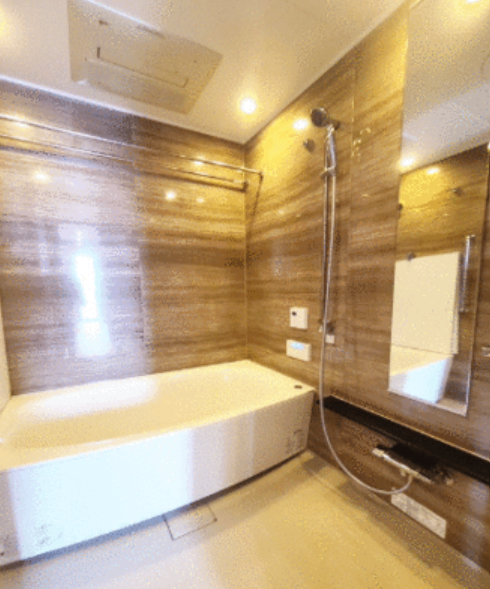 [50th Floor Condo / 2LDK] Nakanoshima, Kita Ward, Osaka City photo 8