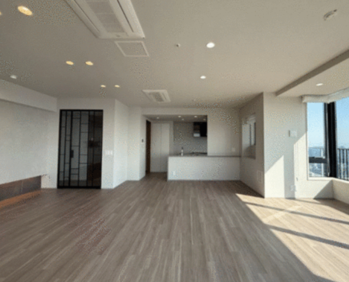 [50th Floor Condo / 2LDK] Nakanoshima, Kita Ward, Osaka City photo 11