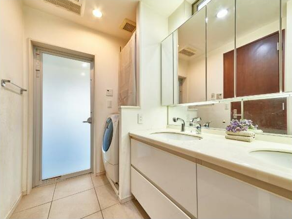 Garage House / 4LDK, Setagaya Ward, Tokyo photo 10