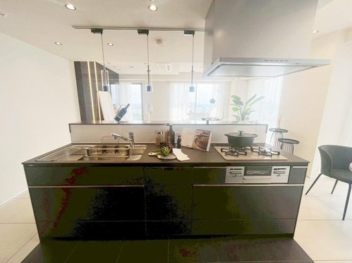 Park View Tower Condo / 2LDK, Taito Ward, Tokyo photo 5