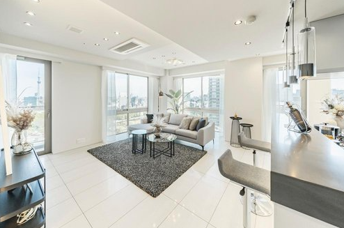 Park View Tower Condo / 2LDK, Taito Ward, Tokyo photo 3