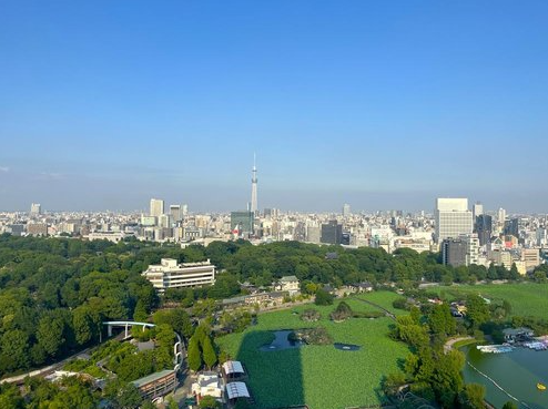 Park View Tower Condo / 2LDK, Taito Ward, Tokyo photo 8
