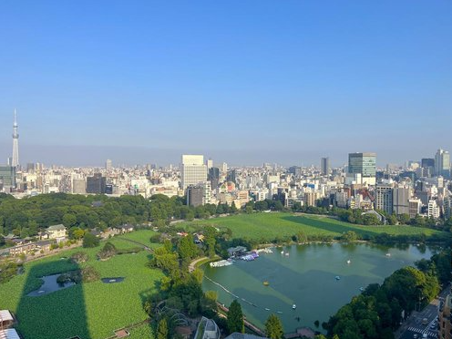 Park View Tower Condo / 2LDK, Taito Ward, Tokyo photo 9