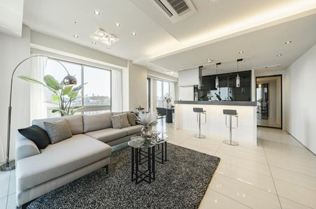 Park View Tower Condo / 2LDK, Taito Ward, Tokyo photo