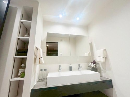 Park View Tower Condo / 2LDK, Taito Ward, Tokyo photo 6
