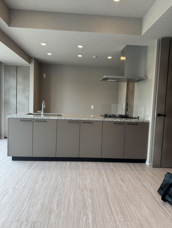 Luxury Condo / 3LDK, Fukuoka City, Fukuoka photo
