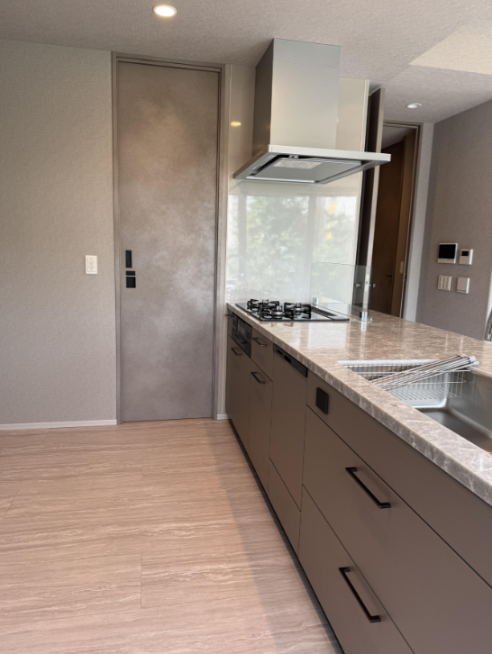 Luxury Condo / 3LDK, Fukuoka City, Fukuoka photo 8