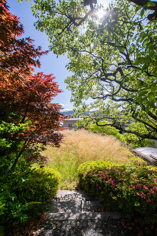 Large Residence / 9LDK, Kyoto City, Kyoto photo 16