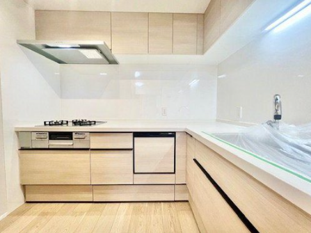 Tower Condo / 2LDK, Shinjuku Ward, Tokyo photo 5