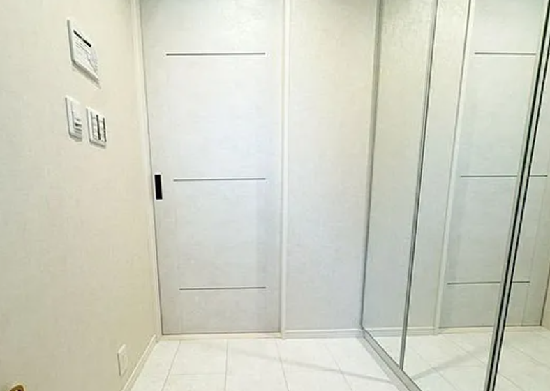 New Detached House / 3LDK + Rooftop Terrace, Suginami, Tokyo photo 10