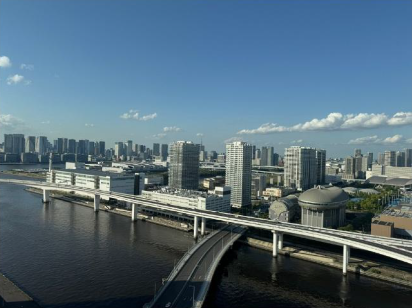 Tower Condo / 2LDK, Minato, Tokyo photo 7