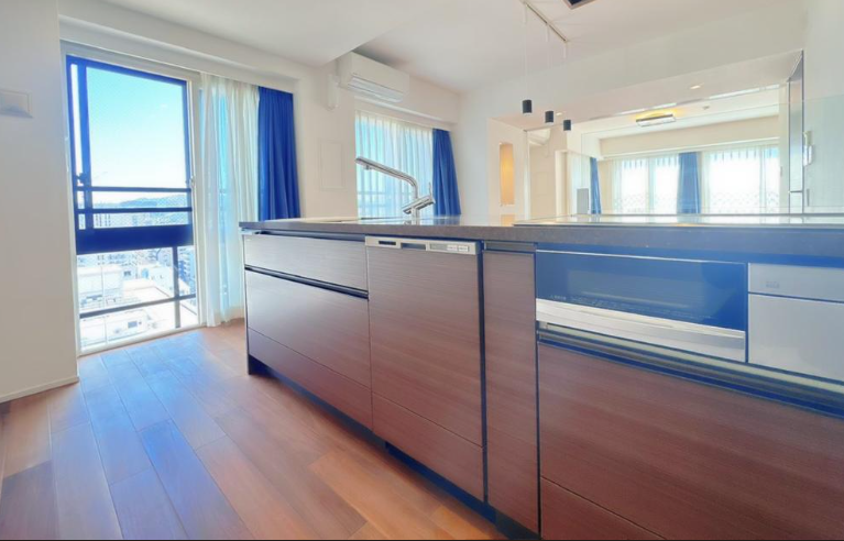 Luxury Condo Unit / 1LDK, Chuo Ward, Fukuoka photo 6