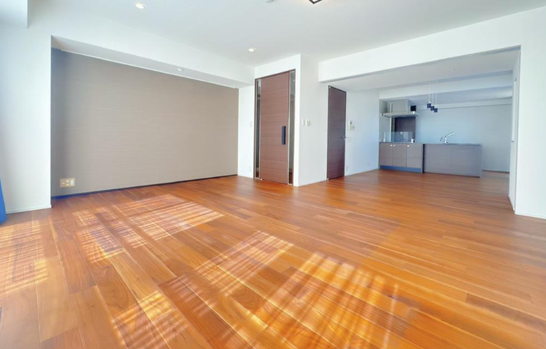 Luxury Condo Unit / 1LDK, Chuo Ward, Fukuoka photo 5