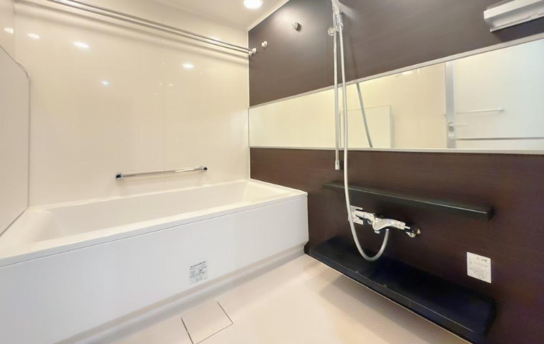Luxury Condo Unit / 1LDK, Chuo Ward, Fukuoka photo 8