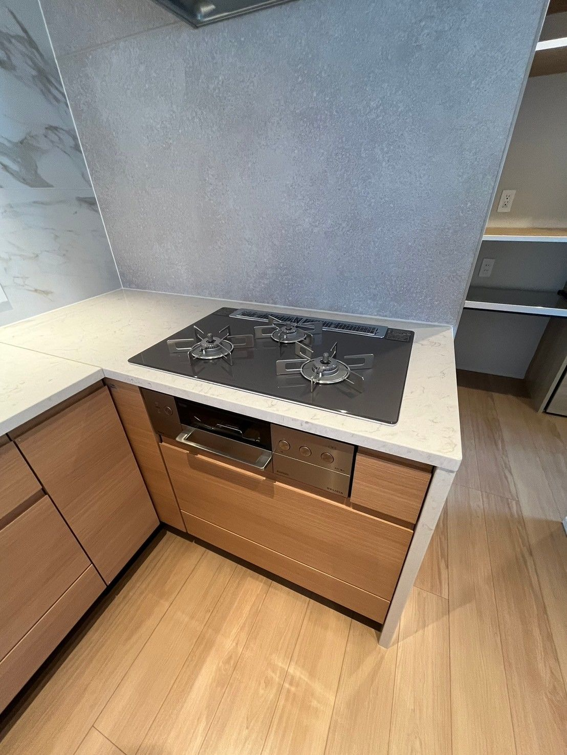 Luxury Tower Condo / 3LDK, Fukuoka City, Fukuoka photo 8