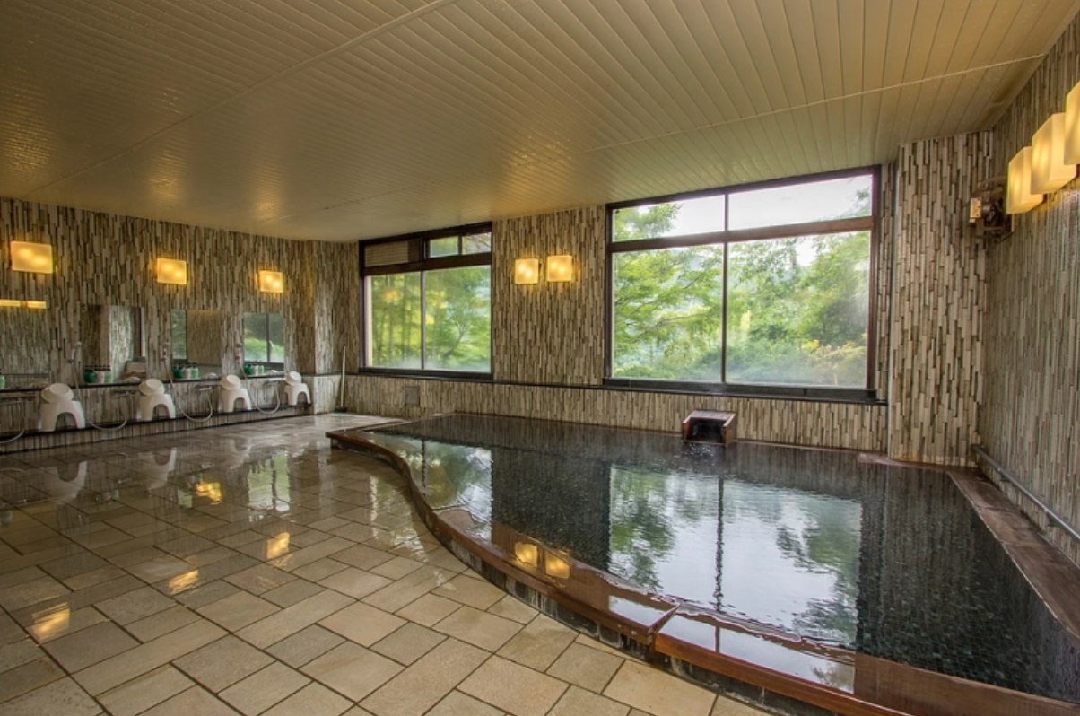Hot Spring Hotel / 18 Rooms, Hakone, Kanagawa photo 3