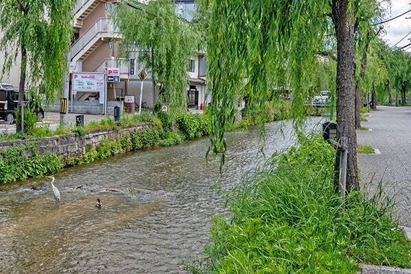 Traditional Machiya, Higashiyama Ward, Kyoto (Shirakawa Riverside, Umenomiyacho) photo 15