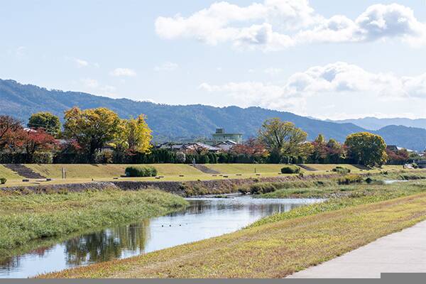 Traditional Machiya, Kita Ward, Kyoto (Registered Heritage, Koyama Shimofusacho) photo 4