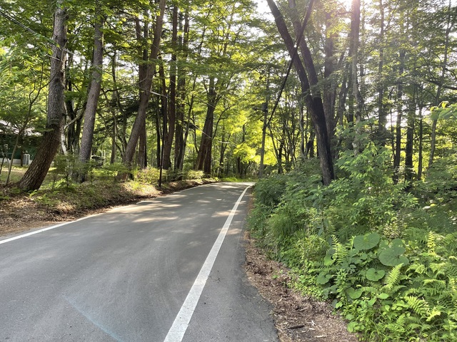 Yagasaki Karuizawa Villa Land, Nagano photo 3