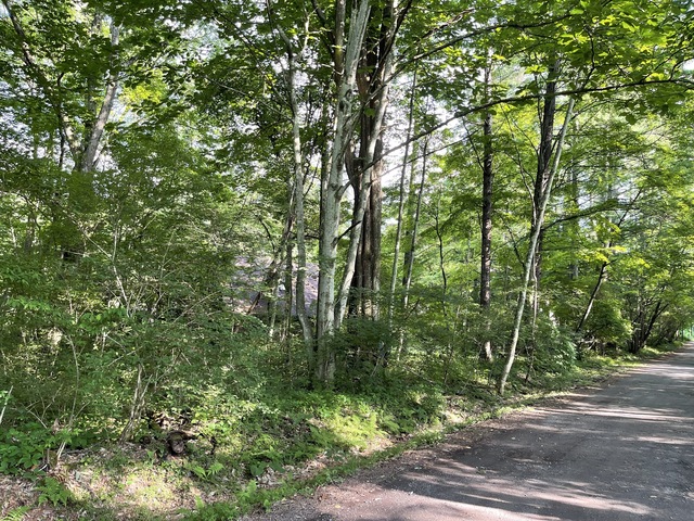 Yagasaki Karuizawa Villa Land, Nagano photo