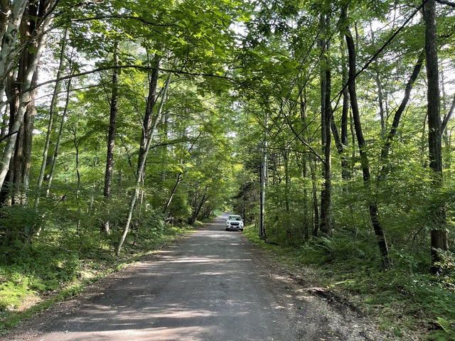 Yagasaki Karuizawa Villa Land, Nagano photo 5