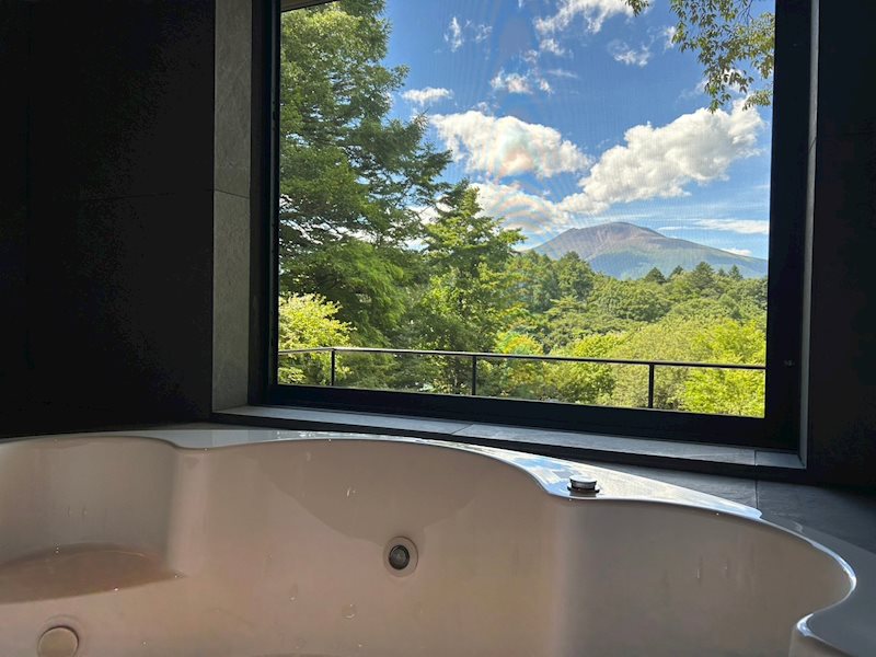 Minamidaira Karuizawa Designer Villa, Nagano photo 10