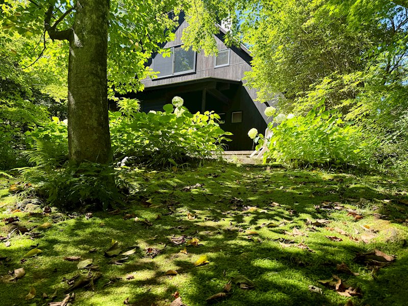 Minamigaoka Karuizawa Villa with Wood Stove, Nagano photo