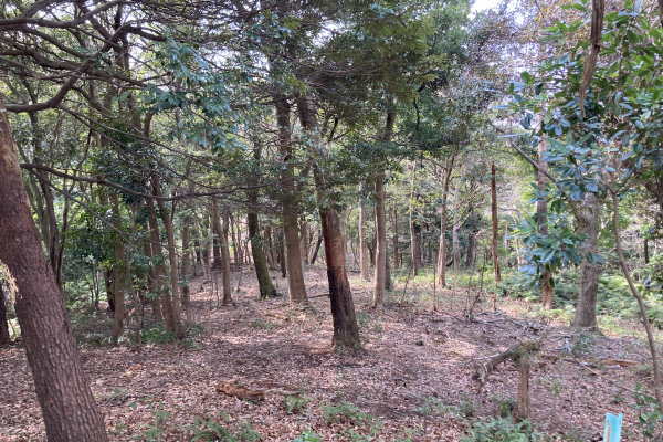 Ajiroyama Atami Estate Land / 23372 sqm, Shizuoka photo 3