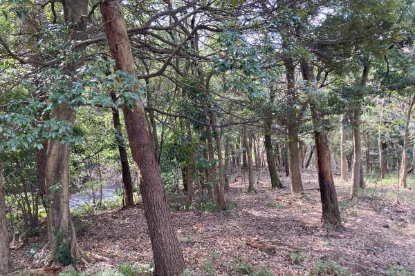 Ajiroyama Atami Estate Land / 23372 sqm, Shizuoka photo 4
