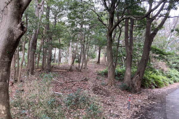 Ajiroyama Atami Estate Land / 23372 sqm, Shizuoka photo 5