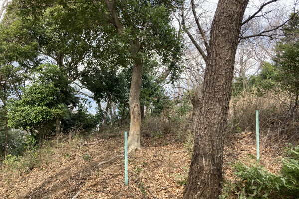 Ajiroyama Atami Estate Land / 23372 sqm, Shizuoka photo 7