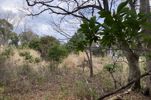 Ajiroyama Atami Estate Land / 23372 sqm, Shizuoka photo 10