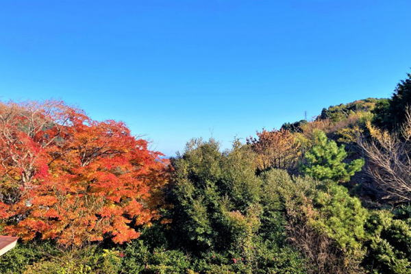 Minami-Yugawara Resort House / 6LDK+S, Atami, Shizuoka photo 10