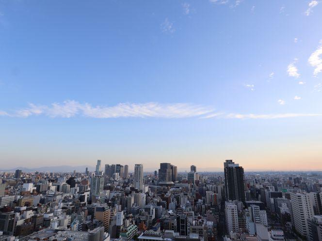 Lions Mansion Osaka Sky Tower / 3LDK, Osaka photo 11