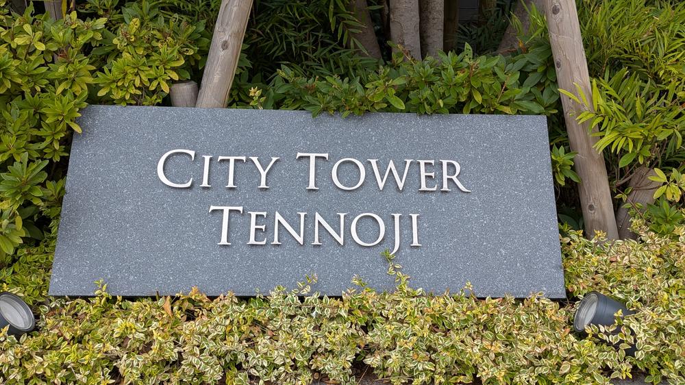 City Tower Tennoji / 3LDK, Osaka photo 15