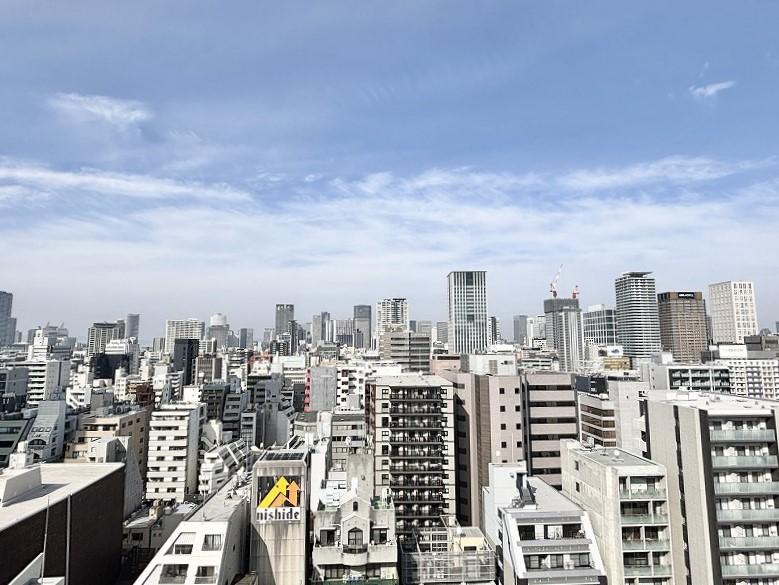 Pressance Legend Osaka Shinmachi Tower / 3LDK, Osaka photo 16