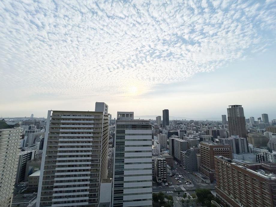Laurel Tower Namba / 2LDK, Osaka photo 13