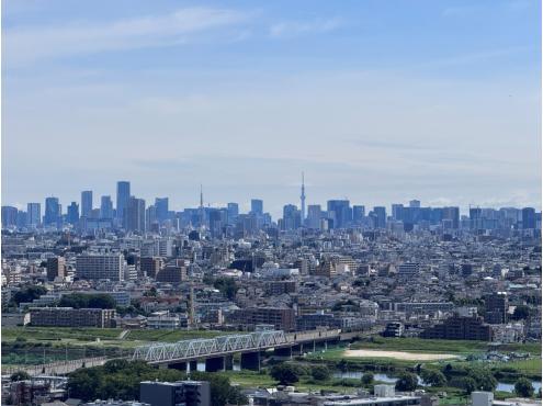 Lieto Court Musashi-Kosugi East Tower / 2LDK+S, Kawasaki, Kanagawa photo 9