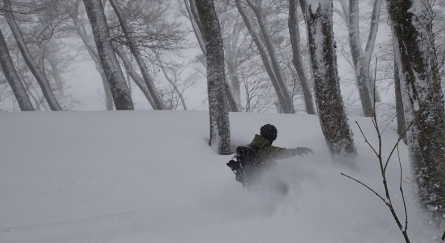 Resort / 8BR Lodge, Myoko, Niigata (Funky Monkey Lodge, Akakura) photo 6