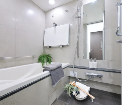 Condominium, (Atlas Tower Shirokane Residential), Minato Tokyo photo 4