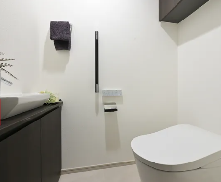 Condominium, (Atlas Tower Shirokane Residential), Minato Tokyo photo 6
