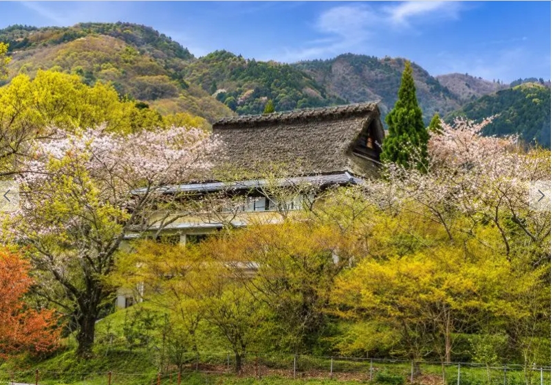 Oharano Estate, Kyoto photo 3