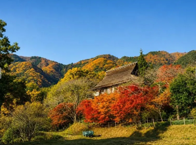 Oharano Estate, Kyoto photo 5