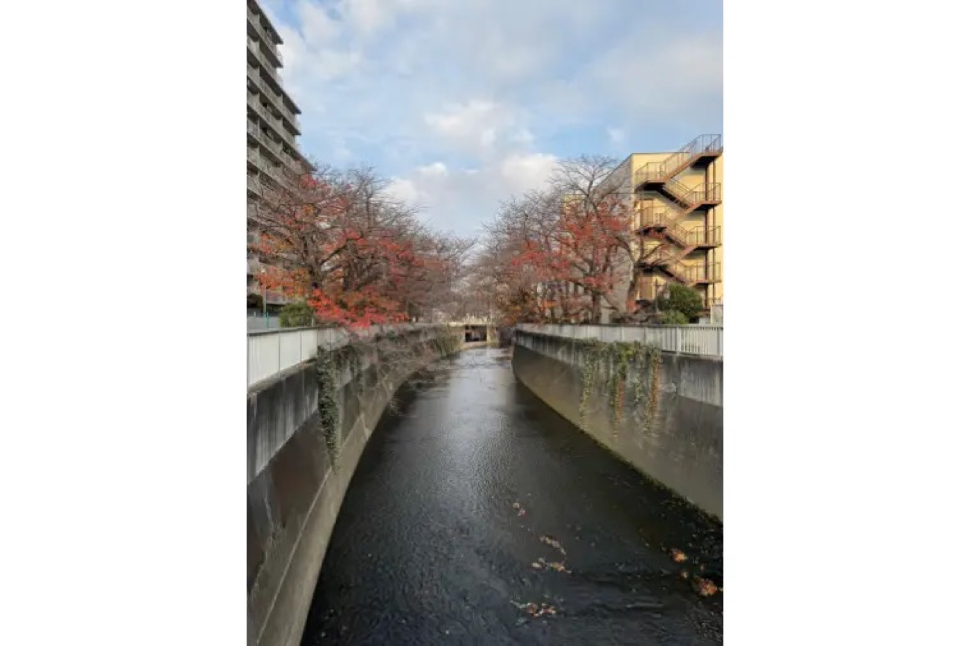 Short-term Rental / 2 Rooms, Shinjuku-ku, Tokyo photo 5