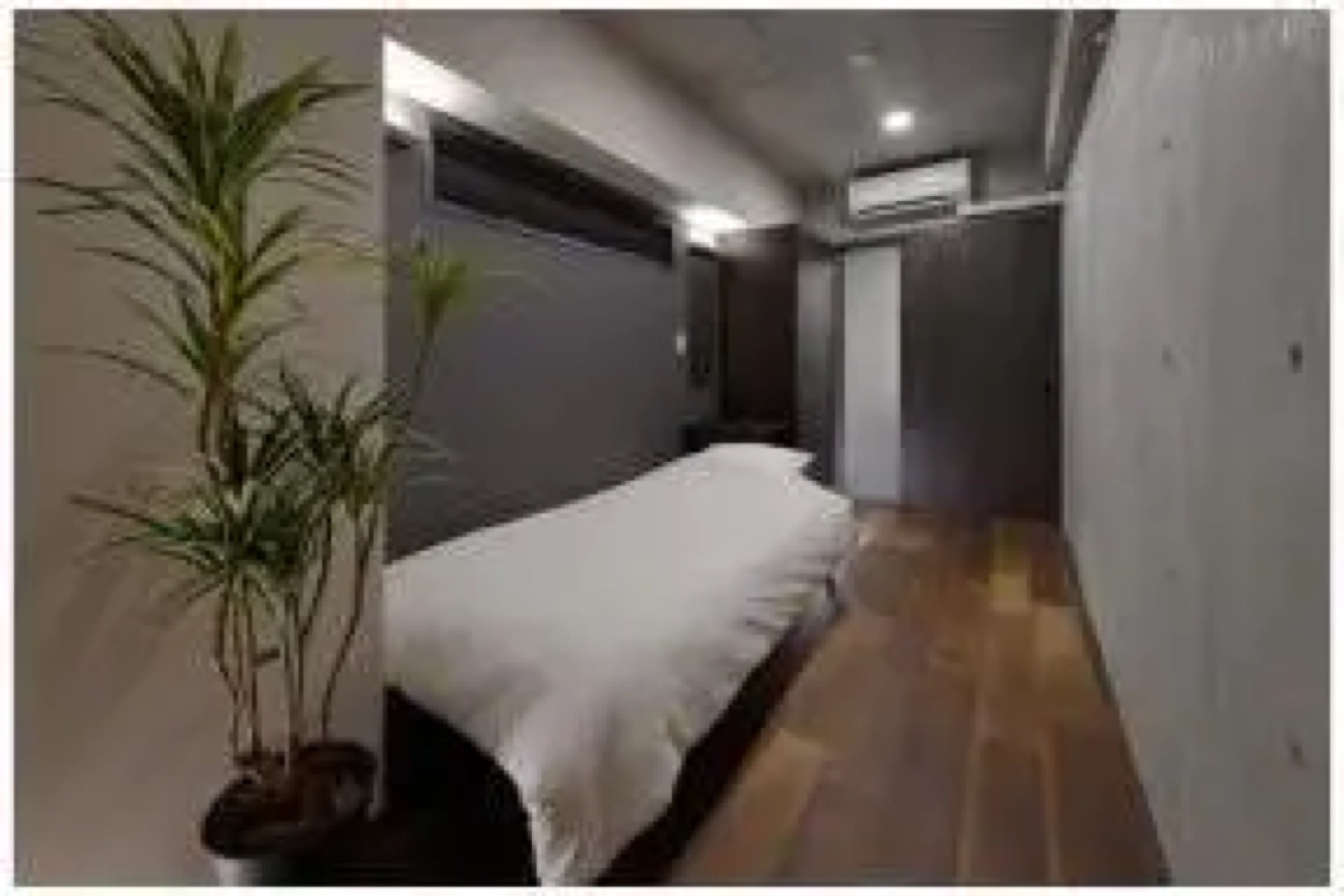 Hotel / 8 Rooms, Koto-ku, Tokyo photo 3
