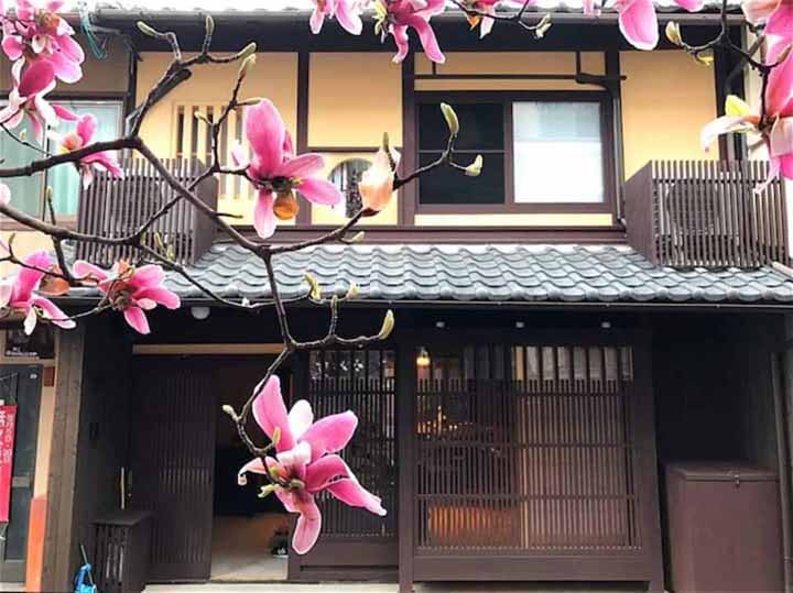 Operating Machiya Guesthouse / 4K, Umekoji, Kyoto photo