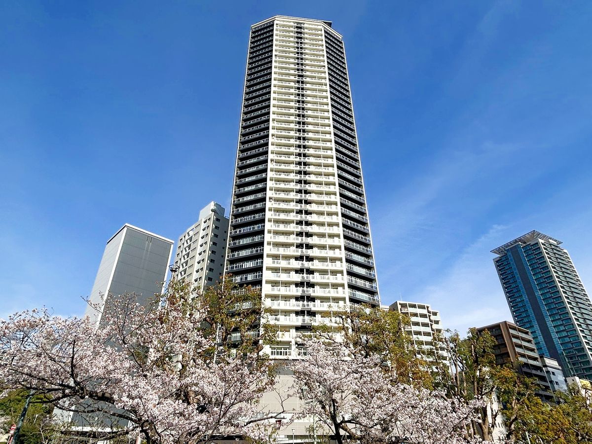Tower Condominium / 3LDK, Kobe photo