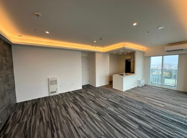 Luxury Tower Condominium / 2LDK, Sapporo photo 2