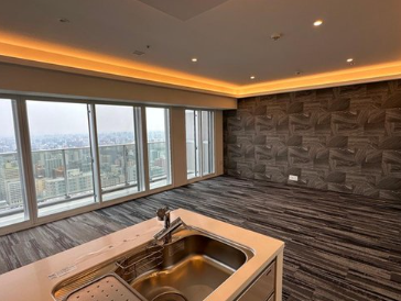Luxury Tower Condominium / 2LDK, Sapporo photo 6